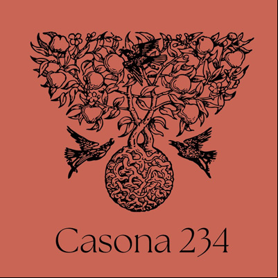 Carátula Centro Cultural La Casona 234